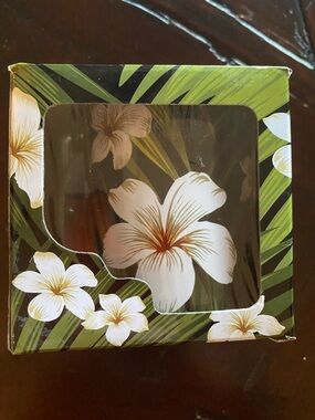ALOHA Black & Green Plumeria Mug in box.